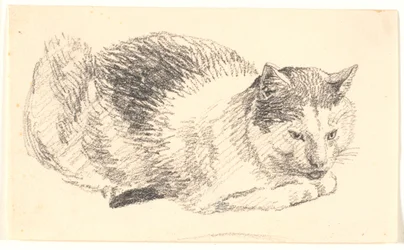 Liegende Katze