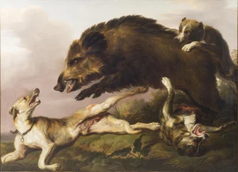 Wildschweinjagd