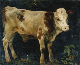 Ein Bullenkalb, 1876