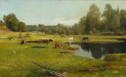 Sommermorgen, Stabekk