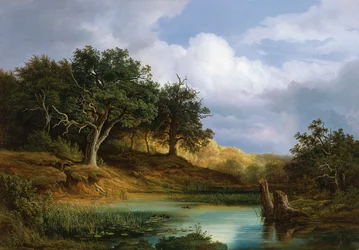 Eichen am Wasser