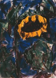 Sonnenblume