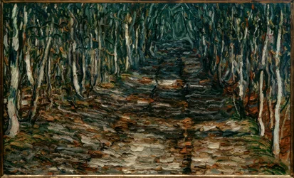 Waldweg nach Erling