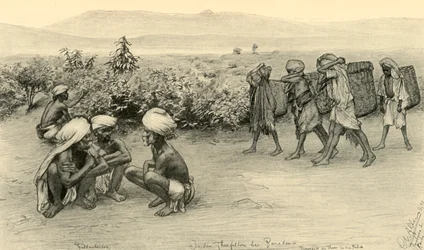 Teepflücker, Peradeniya, Ceylon, 1898