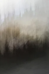 Abstrakte Waldgelassenheit