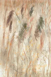 Erdige Graslandtextur
