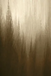 Waldnebel