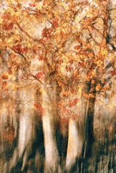 Goldener Herbstwald Unschärfe