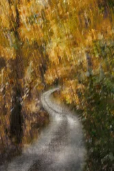 Goldene Herbststraße
