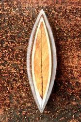 Geschichtetes Rustikales Blatt