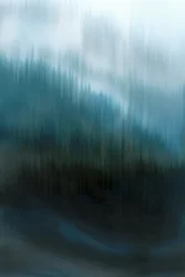 Nebliger blauer Wald