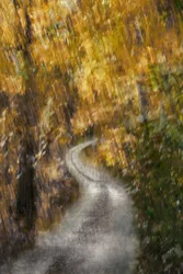 Windender Herbstpfad