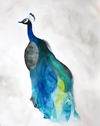 Eleganter blauer Pfau