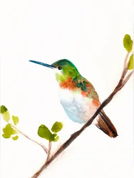 Grüner Kolibri auf Ast