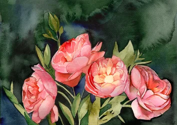 Rosa Aquarellblüten