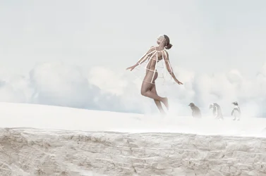 Fliegende Frau Pinguine