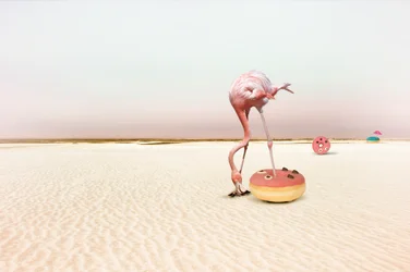 Pinker Flamingo Donut Traum