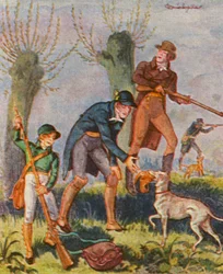 Bekassinenjagd
