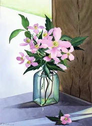 Stillleben Rosa Clematis