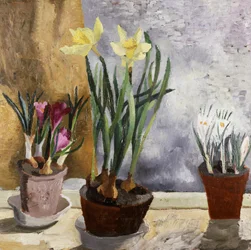 Krokusse und Narzissen in Töpfen