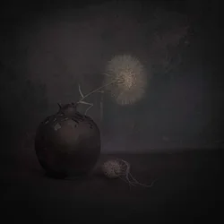 Dunkles Löwenzahn-Stillleben
