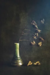 Grüne Vase mit getrockneten Samenkapseln