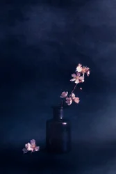 Stimmungsvolle Blumenvase