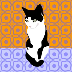 Katze auf marokkanischen Fliesen
