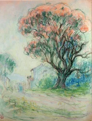 Rosa Baum