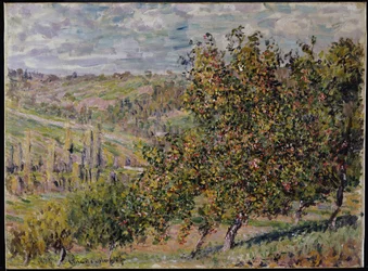 Apfelblüte