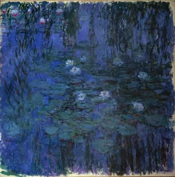 Blaue Seerose
