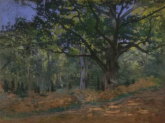 Bodmer Eiche im Wald von Fontainebleau