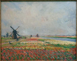 Blumenfelder und Mühlen bei Leiden