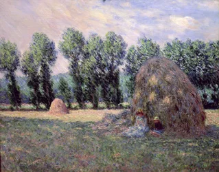 Heuschober, 1885