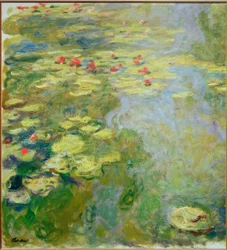 Der Seerosenteich (linker Teil)