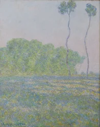 Wiese in Giverny