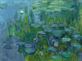 Seerosen