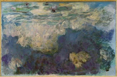 Seerosen