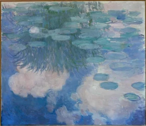 Seerosen