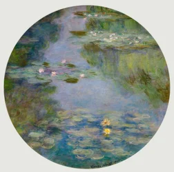 Seerosen
