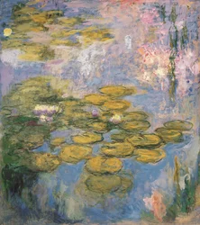 Seerosen, 1916-19
