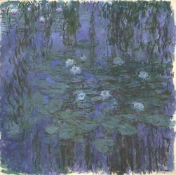 Blaue Seerosen