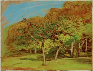 Obstbäume