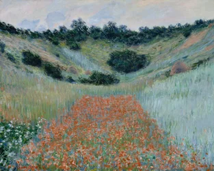 Mohnfeld in einer Senke bei Giverny