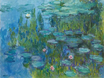 Seerosen