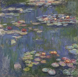 Seerosen