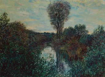 Kleiner Zweig der Seine