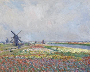 Tulpenfelder bei Den Haag, Maße: 66 x 81,5
