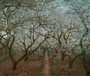 Blühender Obstgarten, Vétheuil