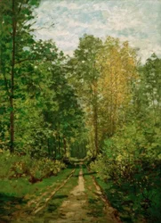 Waldweg